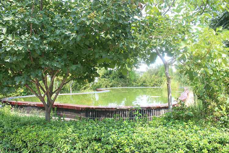 大发在线登录官网-大发(中国)机械厂区环境优美